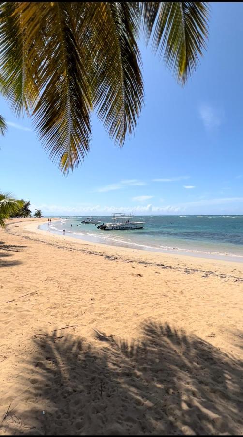 Lovely Beachfront 2 Bedrooms Condo With 2 Pools Las Terrenas Ngoại thất bức ảnh